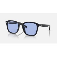 RB4392 WASHED LENSES